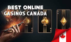 Discover the Best Real Money Online Casinos for Unmatched Gaming Experience Discover the Best Real Money Online Casinos for Unmatched Gaming Experience